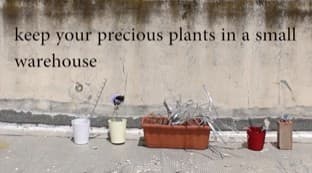 Urban Gardening performance